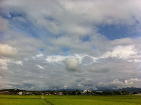 20110730_165133_0.jpg